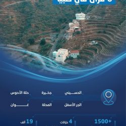 #عاجل : #المملكة #ومصر توقعان أكثر من 14 اتفاقية استثمارية بقيمة 8 مليارات دولار