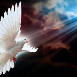 مكتب تعليم خميس مشيط يقيم حفلًا تكريميًا لمنسوباته “عطاء ووفاء”