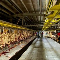 مستشار خادم الحرمين الشريفين أمير منطقة مكة المكرمة يتفقد مجمع صالات الحج والعمرة بمطار الملك عبدالعزيز الدولي