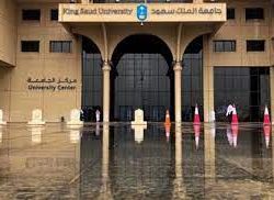 المؤسسة العامة للحبوب تنهي ترسية مناقصة القمح لعام 2022