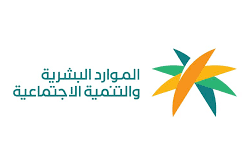 انطلاق مزاد اللوحات الإلكتروني عبر “أبشر”