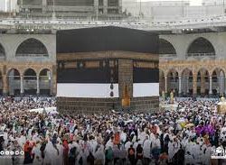 جامعةُ الملكِ خالد تُوَقِّعُ اتفاقيتين لتدريب طالبات الاقتصاد المنزلي على احتراف خِدْمَاتِ الضيافة