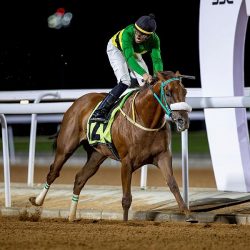 * 100 ألف مراجع لمستشفى الحُرّث خلال النصف الأول من العام الحالي*