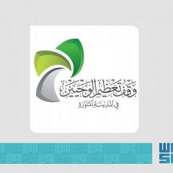 الصحف السعودية