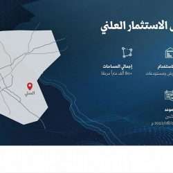 وصول أكثر من ٢١٢ ألف حاج إلى المدينة المنورة في فترة ما بعد الحج