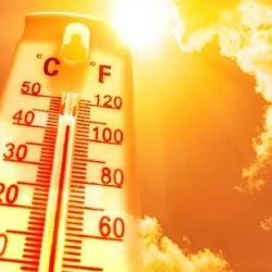 إدارة التربية الإجتماعية للبنين مع عدد من الأيتام يزورون مهرجان خميس مشيط للتسويق والترفيه