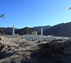 أفواج من حجاج بيت الله الحرام يتوافدون إلى المدينة المنورة قبل المغادرة إلى بلدانهم