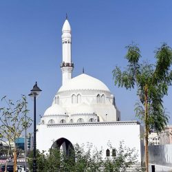 وزارة الصحة تُعلن عن رصد إصابة بمرض جدري القرود لشخص قادم من خارج المملكة