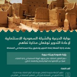 “مكافحة المخدرات” تضبط (297) كيلو جرامًا من مادة الحشيش المخدر مخبأة داخل إطارات شاحنة