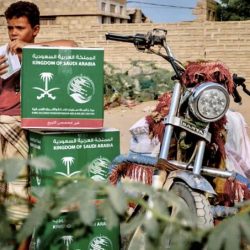 الأفواج الأمنية بالدائر تطيح بمواطن لنقله 12 مخالفاً لنظام أمن الحدود