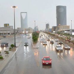 بلدية بيشة: سواتر جمالية حديثة للمحولات الكهربائية بالمحافظة