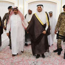 المؤسسة العامة للحبوب تصرف مستحقات الدفعة السابعة لمزارعي القمح المحلي