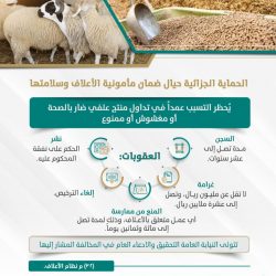 الإدارة العامة للمرور : استخراج لوحة السيارة بدل فاقد لايتطلب سداد المخالفات