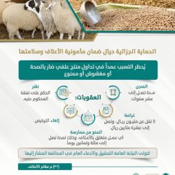 الوسائل السعودية تطلق هويتها البصرية الجديدة