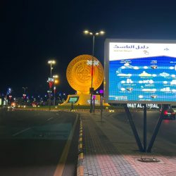 أكثر من 300 جولة نفذتها بيئة عسير لمراقبة الأسواق والمسالخ