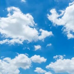 بدء عملية فصل التوأم السيامي اليمني “مودة ورحمة”