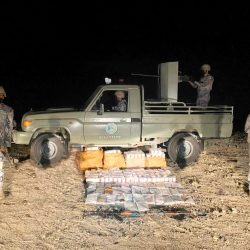 الطقس في جنوب المملكة