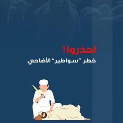 القوات الجوية تساند الأمن العام بالطائرات العمودية لتنظيم ومتابعة حركة الحجيج