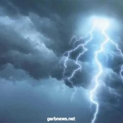 الحملات الميدانية المشتركة: ضبط (12632) مخالفاً لأنظمة الإقامة والعمل وأمن الحدود خلال أسبوع