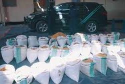 إحصائية وزارة الحج.. وصول أكثر من ١٥٧ ألف حاج إلى المدينة المنوّرة