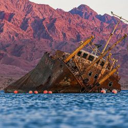 انطلاق الدورة التأسيسية لمنسوبي المساجد المعينين على نظام العقود بمنطقة الباحة