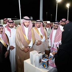 مانجا للإنتاج تعلن عن مشروع “جريندايزر” مع الشركاء اليابانيين