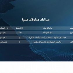مشروعات “مركزية المدينة” توفّر خدمات أشمل للزائرين وتعزّز جودة الحياة المجتمعية