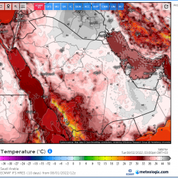 الصحة تعلن عدد الإصابات الجديدة بفيروس كورونا والحالات الحرجة والوفيات