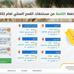 وزارة الصناعة والثروة المعدنية تصدر 84 رخصة تعدينية خلال شهر يونيو الماضي