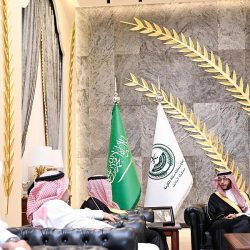 معرض الصقور والصيد السعودي الدولي ينظم الفعالية الدولية للطائرات الورقية