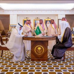 أمر ملكي بترقية (624) من أعضاء النيابة العامة في مختلف المراتب