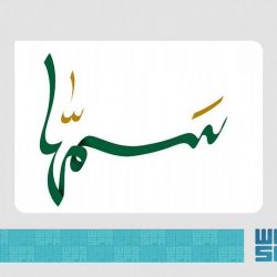 3606 مستفيدًا من خدمات عيادة مركز الملك سلمان في حيران بحجة