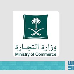 صندوق الاستثمارات العامة يطلق الشركة السعودية المصرية للاستثمار لتعزيز استثماراته في جمهورية مصر العربية