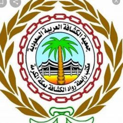 البنوك السعودية تتصدى للاحتيال