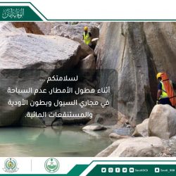 الجوازات السعودية : تعلن تمديد هوية زائر للأشقاء اليمنيين المقيمين في المملكة