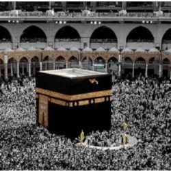 تايكوندو البحرية أبطالاً للهيئات وشباب فنون آسيا ينتزعون الصدارة