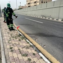 بالفيديو: القبض على مواطن بحوزته 40 كيلو من الحشيش المخدر مخبأة داخل سيارته بطريقة ماكرة بعسير