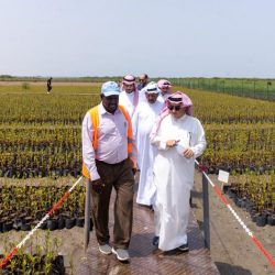 متي ستنتهي الحرب بين روسيا واكرانيا وكيف ستنتهي