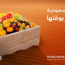 ولي العهد السعودي يلتقي زعيم تيار الحكمة العراقي