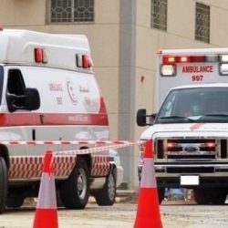 البيئة” توضّح أبرز مناطق إنتاج التمور في المملكة ومواسم حصادها