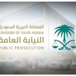 تعرف على شروطه.. بدء التقديم على برنامج فني مسعف المنتهي بالتوظيف