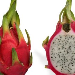 أمن الحدود بجازان يحبط محاولة تهريب (30) كيلوجرامًا من مادة الحشيش المخدر