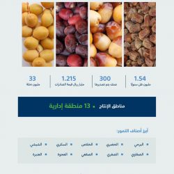 الحملات الميدانية المشتركة: ضبط (15050) مخالفًا لأنظمة الإقامة والعمل وأمن الحدود خلال أسبوع