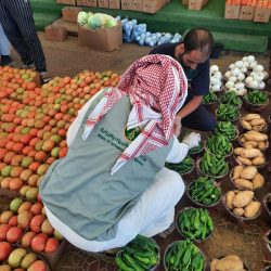 حُزمة من الخدمات المجانية للمواطنين من سكان الأحياء العشوائية المشمولة بالإزالة تقدمها الحكومة