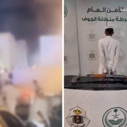 سمو أمير القصيم يستقبل السفير الياباني لدى المملكة