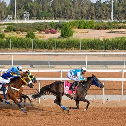 المشاركون في مسابقة الملك عبدالعزيز الدولية للقرآن الكريم يؤكدون جاهزيتهم للتصفيات