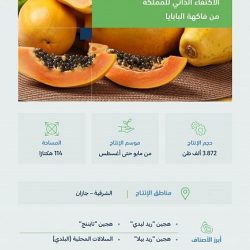 صندوق التنمية الوطني يدعم القطاعات الاقتصادية بأكثر من 28 مليار ريال لمواجهة التقلبات التي خلفتها جائحة كورونا