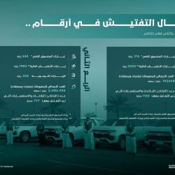 القوة الخاصة لأمن الطرق بمحافظة ضمد في منطقة جازان تقبض على مقيم لنقله في مركبته (10) مخالفين لنظام أمن الحدود