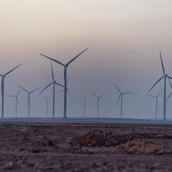 يشمل العديد من الفعاليات … بلدية صوير تنهي استعداداتها للاحتفاء بيوم الوطن