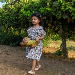 مهرجان القاهرة الدولي للمسرح التجريبي يكرم المؤلف السعودي فهد الحارثي في افتتاح دورته الـ29